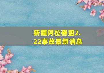 新疆阿拉善盟2.22事故最新消息