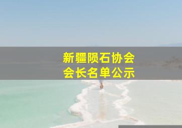 新疆陨石协会会长名单公示