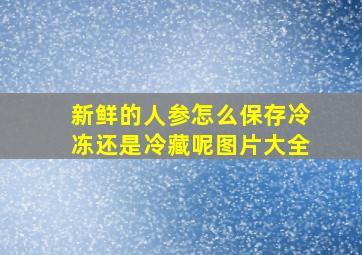 新鲜的人参怎么保存冷冻还是冷藏呢图片大全