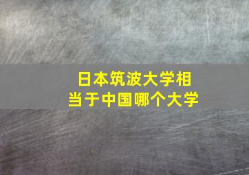 日本筑波大学相当于中国哪个大学