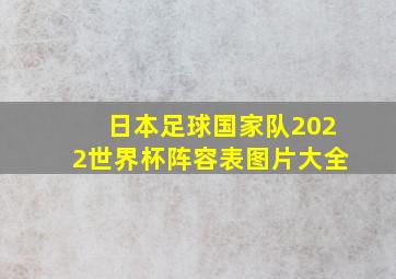 日本足球国家队2022世界杯阵容表图片大全