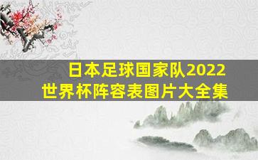 日本足球国家队2022世界杯阵容表图片大全集