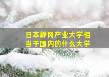 日本静冈产业大学相当于国内的什么大学