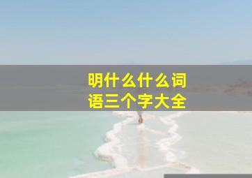 明什么什么词语三个字大全