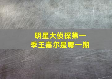 明星大侦探第一季王嘉尔是哪一期