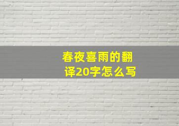 春夜喜雨的翻译20字怎么写