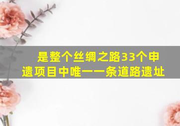 是整个丝绸之路33个申遗项目中唯一一条道路遗址