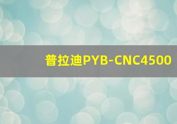 普拉迪PYB-CNC4500