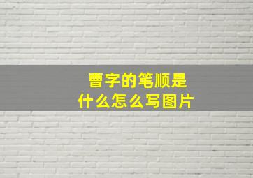 曹字的笔顺是什么怎么写图片