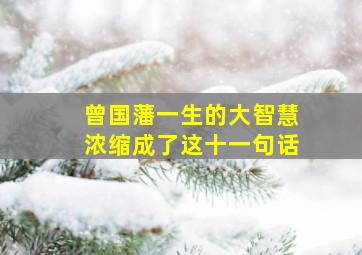 曾国藩一生的大智慧浓缩成了这十一句话