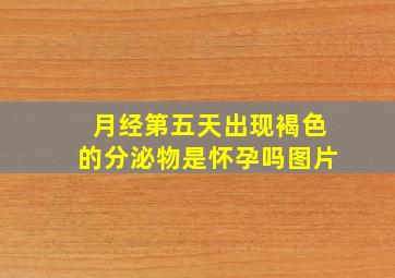 月经第五天出现褐色的分泌物是怀孕吗图片