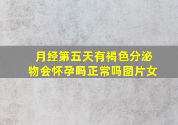 月经第五天有褐色分泌物会怀孕吗正常吗图片女