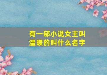 有一部小说女主叫温暖的叫什么名字