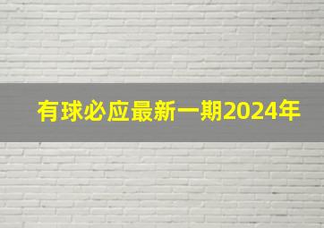 有球必应最新一期2024年