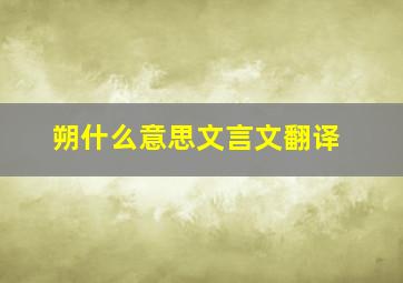 朔什么意思文言文翻译