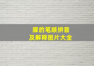 朦的笔顺拼音及解释图片大全