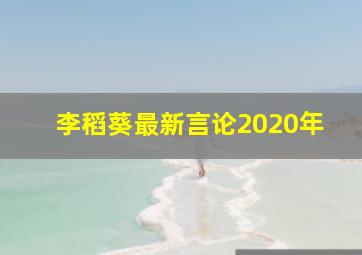 李稻葵最新言论2020年