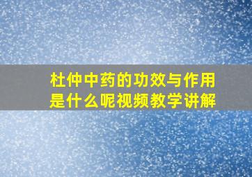 杜仲中药的功效与作用是什么呢视频教学讲解