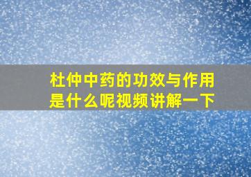 杜仲中药的功效与作用是什么呢视频讲解一下