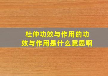 杜仲功效与作用的功效与作用是什么意思啊