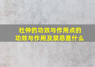 杜仲的功效与作用点的功效与作用及禁忌是什么