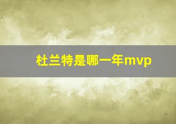 杜兰特是哪一年mvp