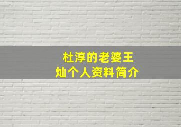 杜淳的老婆王灿个人资料简介