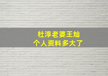 杜淳老婆王灿个人资料多大了