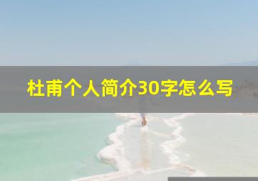 杜甫个人简介30字怎么写