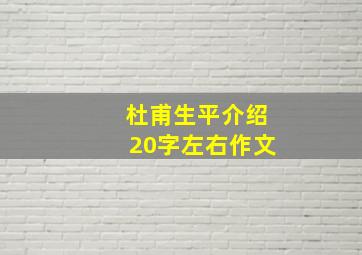 杜甫生平介绍20字左右作文