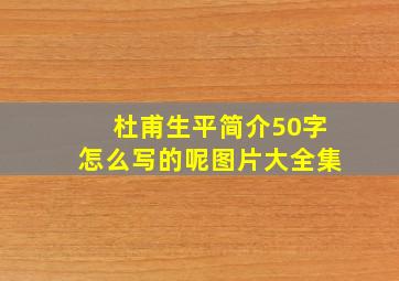 杜甫生平简介50字怎么写的呢图片大全集