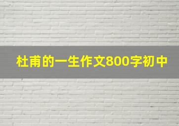 杜甫的一生作文800字初中