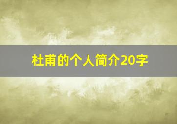 杜甫的个人简介20字