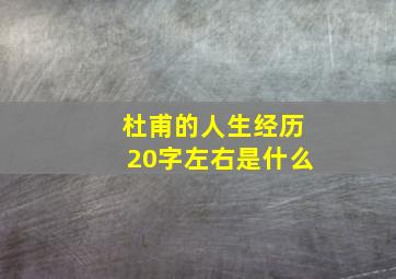 杜甫的人生经历20字左右是什么