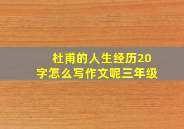 杜甫的人生经历20字怎么写作文呢三年级