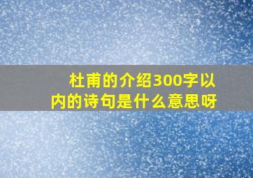 杜甫的介绍300字以内的诗句是什么意思呀