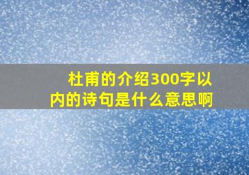 杜甫的介绍300字以内的诗句是什么意思啊