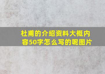 杜甫的介绍资料大概内容50字怎么写的呢图片