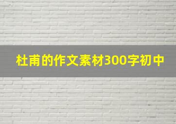 杜甫的作文素材300字初中