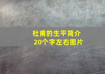 杜甫的生平简介20个字左右图片