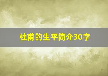 杜甫的生平简介30字