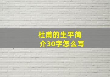 杜甫的生平简介30字怎么写