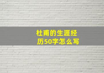 杜甫的生涯经历50字怎么写