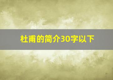 杜甫的简介30字以下