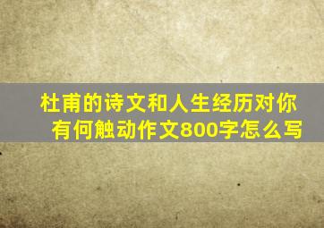 杜甫的诗文和人生经历对你有何触动作文800字怎么写