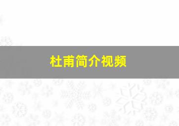 杜甫简介视频