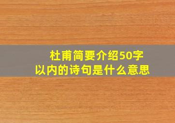 杜甫简要介绍50字以内的诗句是什么意思