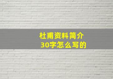 杜甫资料简介30字怎么写的