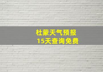 杜蒙天气预报15天查询免费