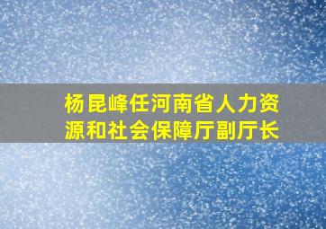 杨昆峰任河南省人力资源和社会保障厅副厅长